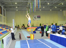 İdman gimnastikası, akrobatika və tamblinq üzrə birləşmiş Azərbaycan çempionatı. Bakı, Azərbaycan, 18 dekabr 2013