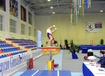 İdman gimnastikası, akrobatika və tamblinq üzrə birləşmiş Azərbaycan çempionatı. Bakı, Azərbaycan, 18 dekabr 2013