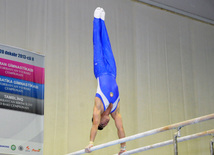 İdman gimnastikası, akrobatika və tamblinq üzrə birləşmiş Azərbaycan çempionatı. Bakı, Azərbaycan, 18 dekabr 2013