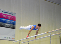 İdman gimnastikası, akrobatika və tamblinq üzrə birləşmiş Azərbaycan çempionatı. Bakı, Azərbaycan, 18 dekabr 2013