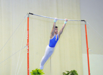 İdman gimnastikası, akrobatika və tamblinq üzrə birləşmiş Azərbaycan çempionatı. Bakı, Azərbaycan, 18 dekabr 2013