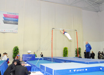 İdman gimnastikası, akrobatika və tamblinq üzrə birləşmiş Azərbaycan çempionatı. Bakı, Azərbaycan, 18 dekabr 2013