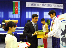 İdman gimnastikası, akrobatika və tamblinq üzrə birləşmiş Azərbaycan çempionatı. Bakı, Azərbaycan, 18 dekabr 2013