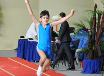 İdman gimnastikası, akrobatika və tamblinq üzrə birləşmiş Azərbaycan çempionatı başa çatıb. Bakı, Azərbaycan, 20 dekabr 2013