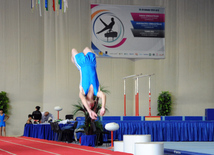 İdman gimnastikası, akrobatika və tamblinq üzrə birləşmiş Azərbaycan çempionatı başa çatıb. Bakı, Azərbaycan, 20 dekabr 2013