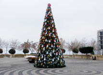 New Year is coming... Baku, Azerbaijan, Dec.28, 2013