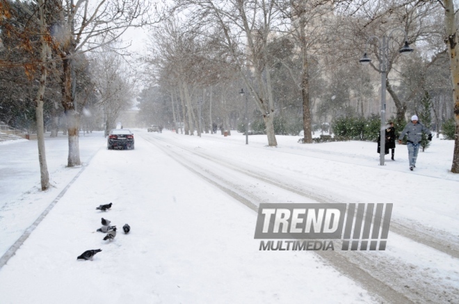 Snowy landscapes in Baku. Azerbaijan, Jan.31, 2014