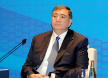 Azerbaijani Minister of Taxes Fazil Mammadov. Baku, Azerbaijan, Feb.07, 2014