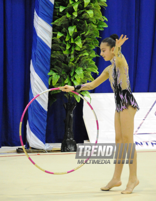 Bədii gimnastika üzrə 21-ci Bakı birinciliyi. Bakı, Azərbaycan, 12 aprel 2014