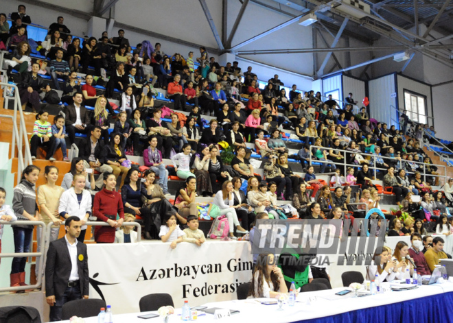 Bədii gimnastika üzrə 21-ci Bakı birinciliyi. Bakı, Azərbaycan, 12 aprel 2014