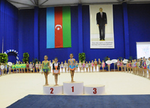 Bədii gimnastika üzrə 21-ci Bakı birinciliyi. Bakı, Azərbaycan, 12 aprel 2014