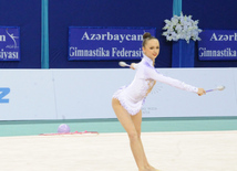 Bədii gimnastika üzrə 21-ci Azərbaycan çempionatı. Bakı, Azərbaycan, 19 aprel 2014