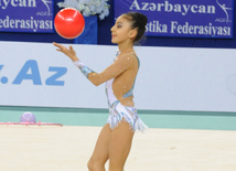 Bədii gimnastika üzrə 21-ci Azərbaycan çempionatı. Bakı, Azərbaycan, 19 aprel 2014