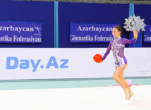 Bədii gimnastika üzrə 21-ci Azərbaycan çempionatı. Bakı, Azərbaycan, 19 aprel 2014