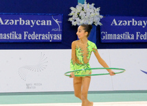 Yarışlarda 22 senior gimnast, həmçinin 1999-2001-ci il təvəllüdlü idmançılar da iştirak ediblər. Bakı, Azərbaycan, 19 aprel 2014