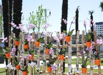 Gül bayramına hazırlaşan "Qış parkı". Bakı, Azərbaycan, 09 may 2014