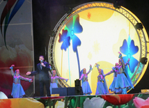 A gala concert and grandios fireworks display held in the National Park. Baku, Azerbaijan, May 10, 2014