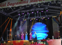 A gala concert and grandios fireworks display held in the National Park. Baku, Azerbaijan, May 10, 2014