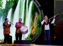 A gala concert and grandios fireworks display held in the National Park. Baku, Azerbaijan, May 10, 2014