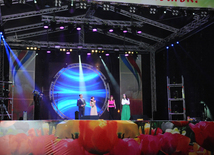 A gala concert and grandios fireworks display held in the National Park. Baku, Azerbaijan, May 10, 2014