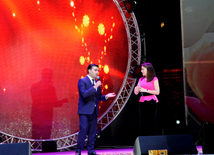 A gala concert and grandios fireworks display held in the National Park. Baku, Azerbaijan, May 10, 2014