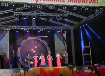 A gala concert and grandios fireworks display held in the National Park. Baku, Azerbaijan, May 10, 2014