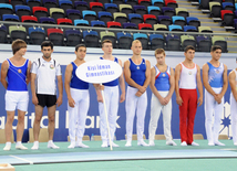 İdman gimnastikası, akrobatika və tamblinq üzrə birgə yarışlar. Bakı, Azərbaycan, 06 avqust 2014