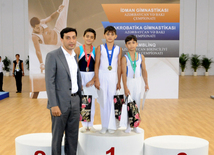 İdman gimnastikası, akrobatika və tamblinq üzrə birgə yarışlar. Bakı, Azərbaycan, 06 avqust 2014