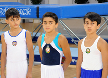 İdman gimnastikası, akrobatika və tamblinq üzrə birgə yarışlar. Bakı, Azərbaycan, 06 avqust 2014