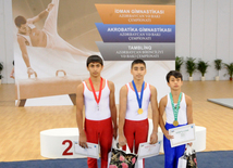 İdman gimnastikası, akrobatika və tamblinq üzrə birgə yarışlar. Bakı, Azərbaycan, 06 avqust 2014