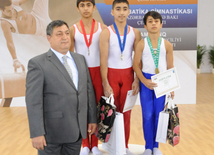 İdman gimnastikası, akrobatika və tamblinq üzrə birgə yarışlar. Bakı, Azərbaycan, 06 avqust 2014