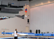 İdman gimnastikası, akrobatika və tamblinq üzrə birgə yarışlar. Bakı, Azərbaycan, 06 avqust 2014