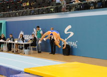 İdman gimnastikası, akrobatika və tamblinq üzrə birgə yarışlar. Bakı, Azərbaycan, 06 avqust 2014