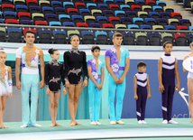 İdman gimnastikası, akrobatika və tamblinq üzrə birgə yarışlar. Bakı, Azərbaycan, 06 avqust 2014