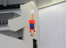 İdman gimnastikası, akrobatika və tamblinq üzrə birgə yarışlar. Bakı, Azərbaycan, 06 avqust 2014