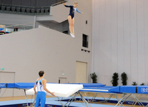 İdman gimnastikası, akrobatika və tamblinq üzrə birgə yarışlar. Bakı, Azərbaycan, 06 avqust 2014