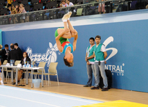 İdman gimnastikası, akrobatika və tamblinq üzrə birgə yarışlar. Bakı, Azərbaycan, 06 avqust 2014