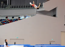 İdman gimnastikası, akrobatika və tamblinq üzrə birgə yarışlar. Bakı, Azərbaycan, 06 avqust 2014