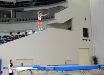 İdman gimnastikası, akrobatika və tamblinq üzrə birgə yarışlar. Bakı, Azərbaycan, 06 avqust 2014