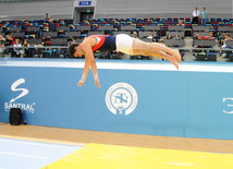 İdman gimnastikası, akrobatika və tamblinq üzrə birgə yarışlar. Bakı, Azərbaycan, 06 avqust 2014