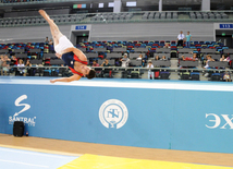 İdman gimnastikası, akrobatika və tamblinq üzrə birgə yarışlar. Bakı, Azərbaycan, 06 avqust 2014