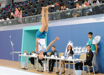 İdman gimnastikası, akrobatika və tamblinq üzrə birgə yarışlar. Bakı, Azərbaycan, 06 avqust 2014