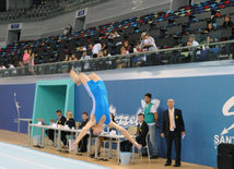 İdman gimnastikası, akrobatika və tamblinq üzrə birgə yarışlar. Bakı, Azərbaycan, 06 avqust 2014