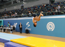 İdman gimnastikası, akrobatika və tamblinq üzrə birgə yarışlar. Bakı, Azərbaycan, 06 avqust 2014