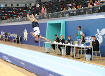 İdman gimnastikası, akrobatika və tamblinq üzrə birgə yarışlar. Bakı, Azərbaycan, 06 avqust 2014