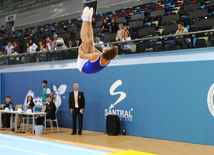 İdman gimnastikası, akrobatika və tamblinq üzrə birgə yarışlar. Bakı, Azərbaycan, 06 avqust 2014