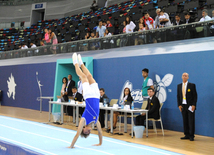 İdman gimnastikası, akrobatika və tamblinq üzrə birgə yarışlar. Bakı, Azərbaycan, 06 avqust 2014