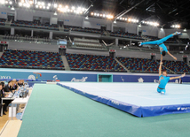 İdman gimnastikası, akrobatika və tamblinq üzrə birgə yarışlar. Bakı, Azərbaycan, 06 avqust 2014