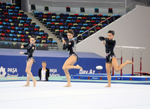 İdman gimnastikası, akrobatika və tamblinq üzrə birgə yarışlar. Bakı, Azərbaycan, 06 avqust 2014