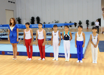 İdman gimnastikası, akrobatika və tamblinq üzrə birgə yarışlar. Bakı, Azərbaycan, 06 avqust 2014